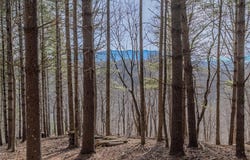 8 & 9 Haven Ridge, Lansing, NC 28643