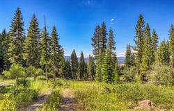 19090 Glades Place, Truckee, CA 96161-2840