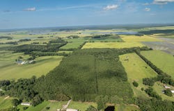 Jolene Road, Basile, LA 70515