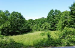 Center Road, Lyndeborough, NH 03082