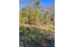 Goff Circle, Dyer, AR 72921