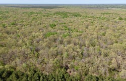 FM 909, Bogata, TX 75417