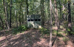 171 +/- ac CR 4670, Avery, TX 75554