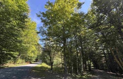 16 Black Bear Trail, Davis, WV 26260