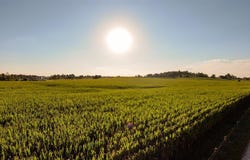 100 Longfall Road, Clarkson, KY 42726