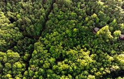 Cub Trail lot: 18, Cherry Log, GA 30522