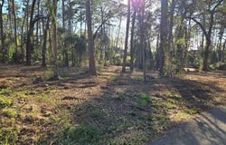Hickory Lane lot: 6, Bullard, TX 75757