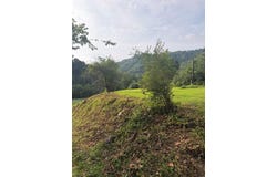 799 Pearl Hill Rd, Delbarton, WV 25670