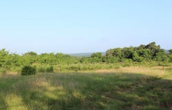 New Blaine, AR 72851