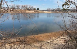 95 CRAVENS Rd, Savannah, TN 38372