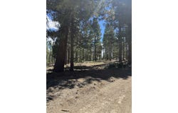 2245 Xanadu Road, Clio, CA 96106