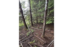 Timber Lane, CoosBay, OR 97420