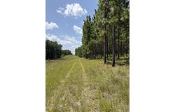 Parcel 4 Miller Farm Rd, Lumberton, MS 39455