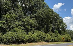 AL HIGHWAY 431, LAFAYETTE, AL 36862