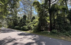 203 Cherokee Trail, Edenton, NC 27932