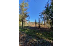 Lake Rd, Towanda, PA 18848