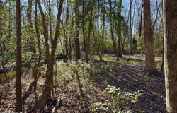 Fred Circle S, Kenly, NC 27542