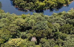 COUNTY ROAD 3905, Arley, AL 35541