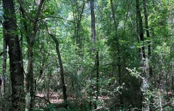 Ms-48, Tylertown, MS 39667