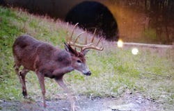 Dugan Road, Vevay, IN 47043