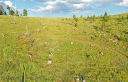 1 Tract, Garnet Range, Drummond, MT 59832