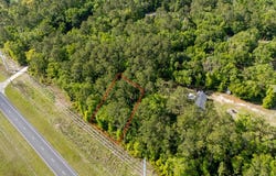 NE 158th Ave, Williston, FL 32696