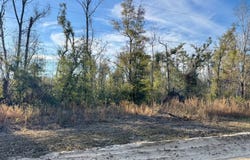 NW CHAMPION OAK BLVD lot: 27, Jennings, FL 32053