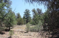 Bodean Road lot: 4-6, Ramah, NM 87321