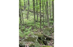 S Royalston Rd, Royalston, MA 01368