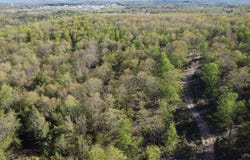 Off Hoist Road, Negaunee, MI 49866