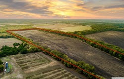 TBD 54.757 AC County Road 4642, Trenton, TX 75490