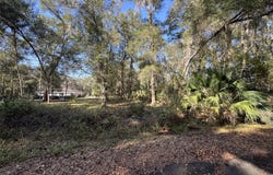 SEQUOIA LOOP Track, OCKLAWAHA, FL 32179