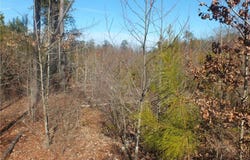 Spicely Road, Dinwiddie, VA 23850