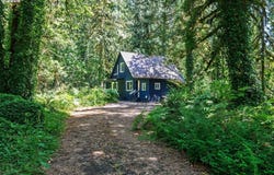 64277 E BRIGHTWOOD LOOP Rd, Brightwood, OR 97011