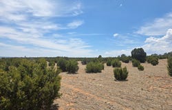 County Rd B28A, Villanueva, NM 87560