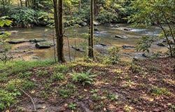 165 All Good Road, Cherry Log, GA 30522