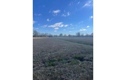 Hwy 6, Tupelo, MS 38801