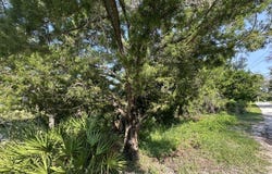 E Point Rd, Cedar Key, FL 32625