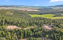 Lone Moose Dr lot: 11, Plummer, ID 83851