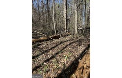 Poplar Mountain Lane, Carnesville, GA 30521