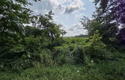 13 Mile Rd (parcel 3), Burlington, MI 49029