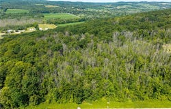 Co Rd 32, Canandaigua, NY 14424