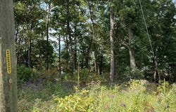 Bluff Dr. lot: 6 & 7, Edgemont, AR 72044