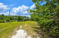 61 Drury Lane, Hortense, GA 31543