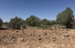 W26 Prairie Dog Road, Ash Fork, AZ 86320