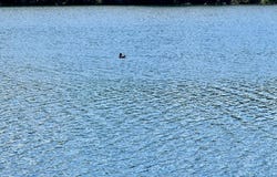 ON BEATONS LAKE RD, Watersmeet, MI 49969