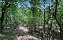 498 BLACKWOOD ROAD lot: 14.9 Acres, PARRISH, AL 35580