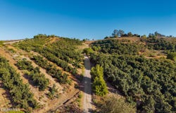 8000 Balcom Canyon Road, Somis, CA 93066