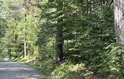 Cross Road, Windham, VT 05359
