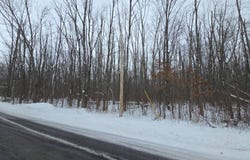 0WP Petrie Rd, Sullivan, NY 13030